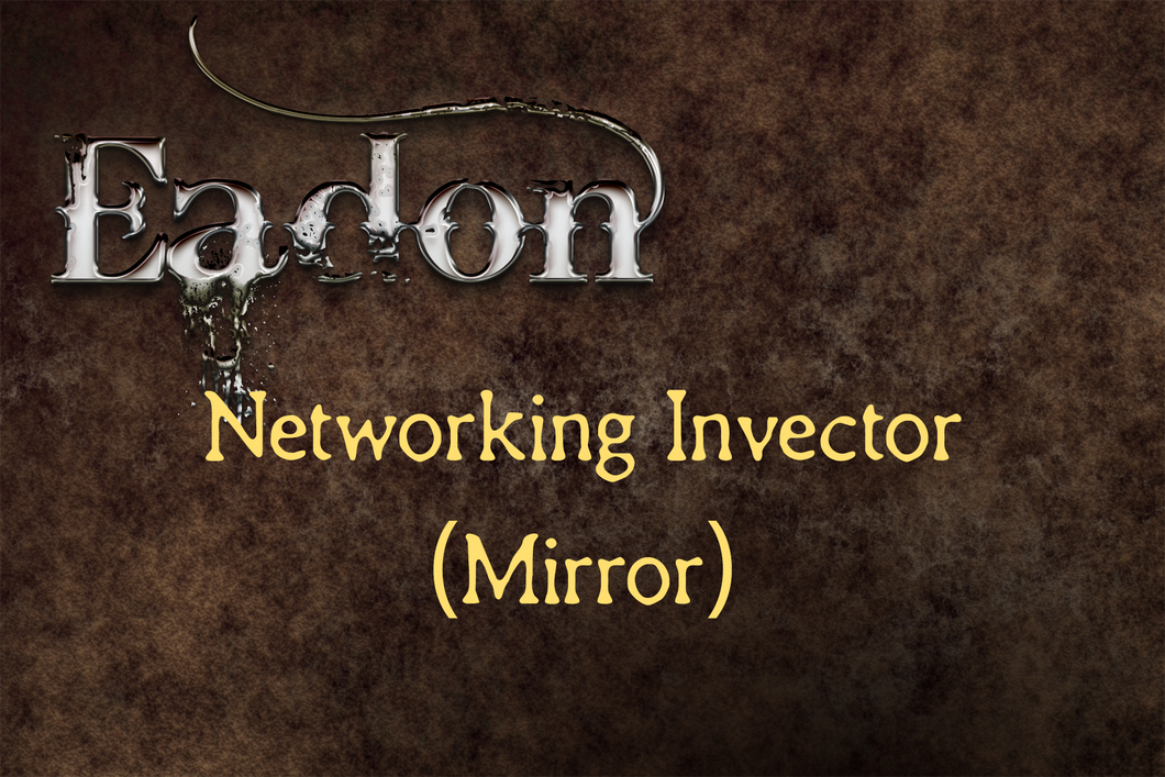 Eadon Networking for Invector (Mirror Version)
